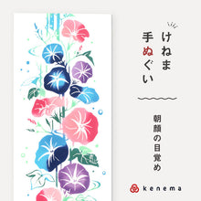 画像をギャラリービューアに読み込む, kenema 手ぬぐい 朝顔の目覚め <夏>花圃シリーズ 日本製 注染 手拭い けねま 気音間 アサガオ 花 宮本 綿100% コットン エコ 母の日 誕生日 プレゼント ギフト 着物 浴衣 和小物 和雑貨 和装小物 K22-21