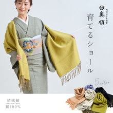 画像をギャラリービューアに読み込む, 育てるショール 老舗ブランド 奥順謹製 結城紬 高級 大判 ショール ストール 絹100% 和装 洋装 着物 小紋 訪問着 着付け 羽織 着物コート 着物防寒 春 夏 秋 冬 通年 毛皮 着物ショール 道中着 ポンチョ 和装小物 プレゼント 誕生日 敬老 クリスマス【IT】K23-64