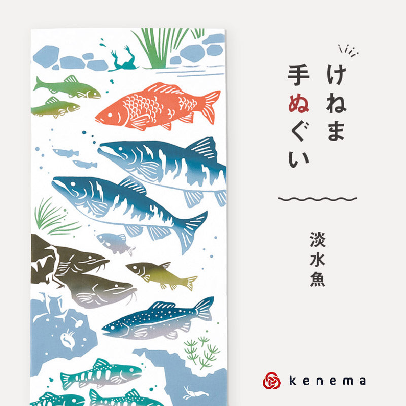 kenema 手ぬぐい 淡水魚 生き物シリーズ 日本製 注染 手拭い けねま 気音間 鮭 鯉 鮎 宮本 綿100％ コットン エコ 母の日 誕生日 プレゼント ギフト 着物 浴衣 和小物 和雑貨 和装小物 K22-21