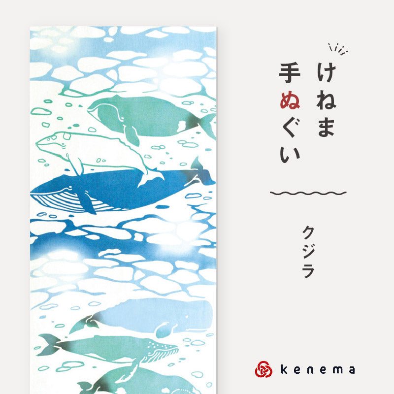 kenema 手ぬぐい クジラ 生き物シリーズ 日本製 注染 手拭い けねま 気音間 鯨 くじら 宮本 綿100％ コットン エコ 母の日 誕生日 プレゼント ギフト 着物 浴衣 和小物 和雑貨 和装小物 K22-21
