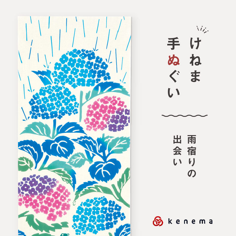 kenema 手ぬぐい 雨宿りの出会い 夏の風物詩シリーズ 日本製 注染 手拭い けねま 気音間 アジサイ あじさい かえる 宮本 綿100％ コットン エコ 母の日 誕生日 プレゼント ギフト 着物 浴衣 和小物 和雑貨 和装小物 K22-21