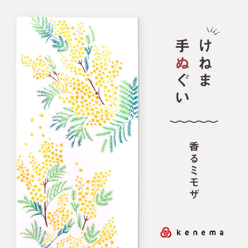 kenema 手ぬぐい 香るミモザ ＜春＞花圃シリーズ 日本製 注染 手拭い けねま 気音間 みもざ 花 宮本 綿100％ コットン エコ 母の日 誕生日 プレゼント ギフト 着物 浴衣 和小物 和雑貨 和装小物 K22-21