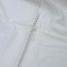 画像をギャラリービューアに読み込む, 【中古】夏着物『絽』色無地 淡いブルーグレー 背紋有 身丈162.5cm 裄丈66cm 正絹着物 IH7-6
