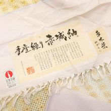 画像をギャラリービューアに読み込む, 【中古】汕頭刺繍 付下げ 青柳謹製『手座繰り赤城紬』横段 外出着 淡クリーム地 身丈162.5cm 裄丈61cm 袷正絹着物 MY12-1
