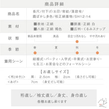 画像をギャラリービューアに読み込む, 【中古】長尺 お召 付下げ 霞ぼかし多色 背紋 落款有 カジュアル グレージュ 身丈166.5cm 裄丈65.5cm 正絹袷着物 SH12-14 lsize トールサイズ
