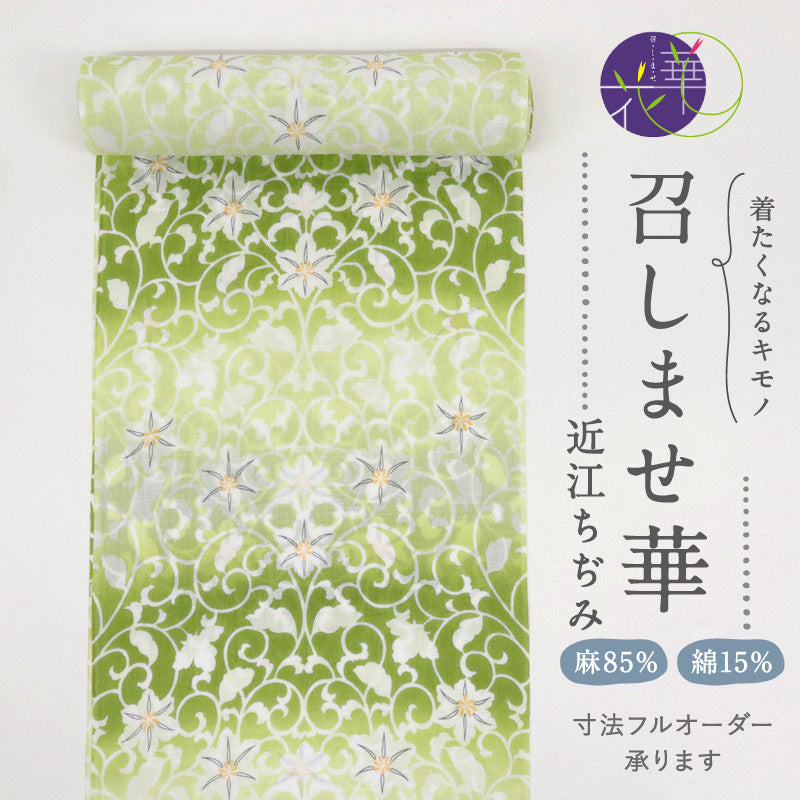 【新品】 反物 『召しませ華』綿麻『近江ちぢみ』花唐草 カジュアル ピスタチオ 黄緑 グリーン 麻85％ 綿15％ 長さ12.5cm 反巾39cm 日本製 夏着物 きもの 和装 反24-21