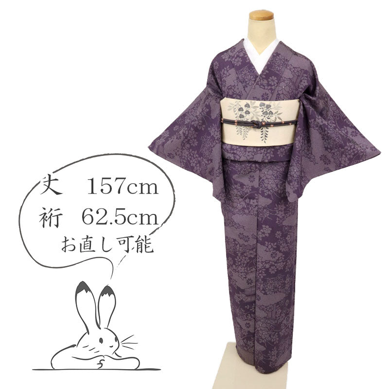 【中古】単衣 お召 本塩沢 雅やか雲文植物絣模様 カジュアル 紫色 身丈157cm 裄丈62.5cm 和装 証紙有 正絹着物 TP5-3